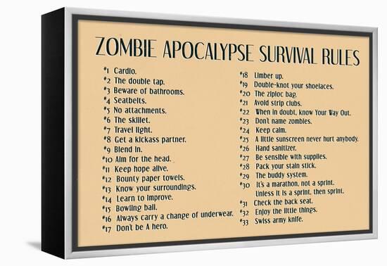 Zombie Apocalypse Rules Movie-null-Framed Stretched Canvas