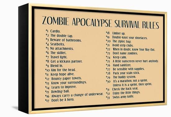 Zombie Apocalypse Rules Movie-null-Framed Stretched Canvas