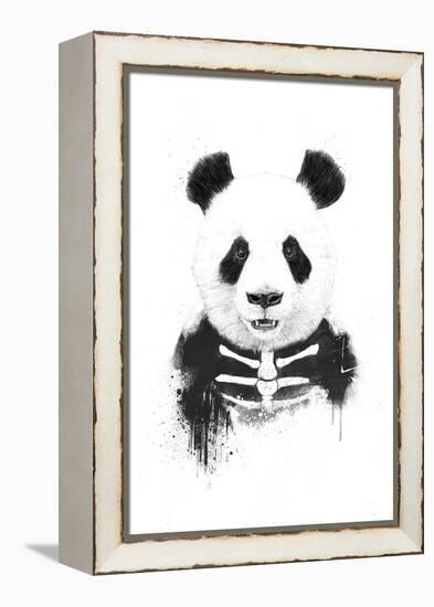 Zombie Panda-Balazs Solti-Framed Premier Image Canvas