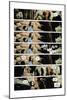 Zombies vs. Robots: No. 7 - Comic Page with Panels-Paul Davidson-Mounted Art Print