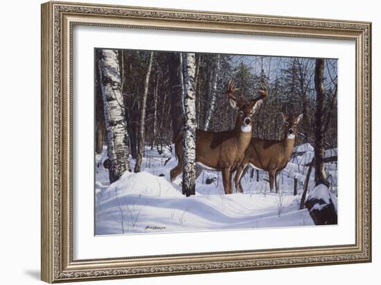 Zone 1 Whitetail-Bruce Miller-Framed Giclee Print