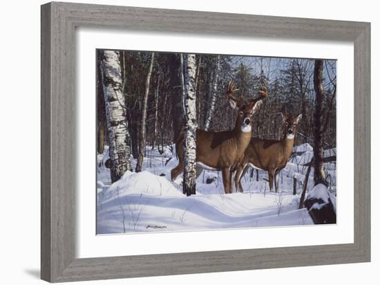 Zone 1 Whitetail-Bruce Miller-Framed Giclee Print