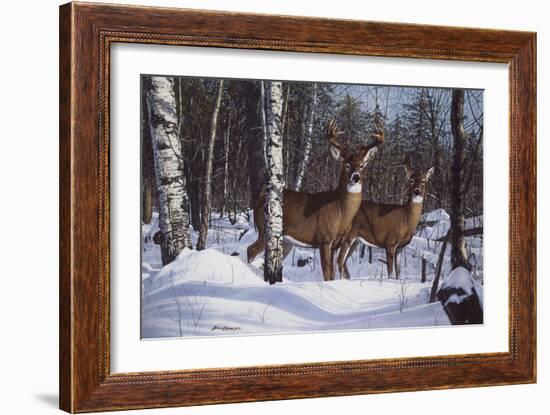 Zone 1 Whitetail-Bruce Miller-Framed Giclee Print