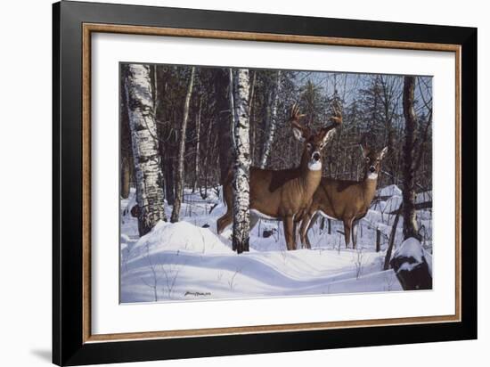 Zone 1 Whitetail-Bruce Miller-Framed Giclee Print