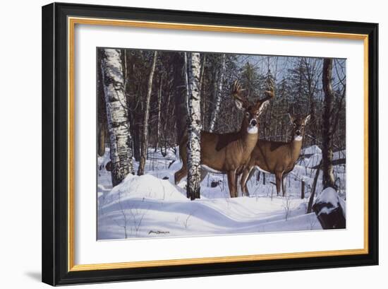 Zone 1 Whitetail-Bruce Miller-Framed Giclee Print