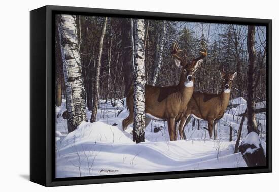 Zone 1 Whitetail-Bruce Miller-Framed Premier Image Canvas