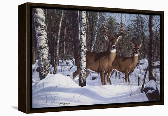 Zone 1 Whitetail-Bruce Miller-Framed Premier Image Canvas