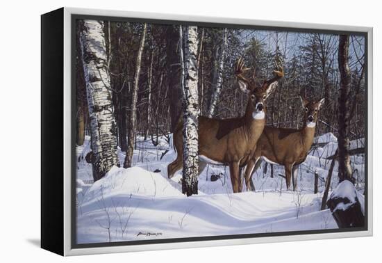 Zone 1 Whitetail-Bruce Miller-Framed Premier Image Canvas