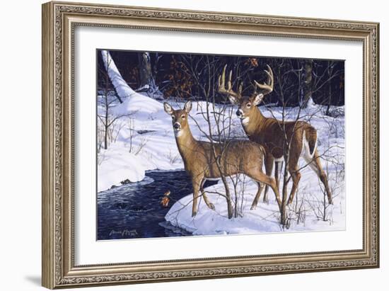 Zone 2 Whitetails-Bruce Miller-Framed Giclee Print