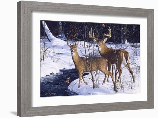 Zone 2 Whitetails-Bruce Miller-Framed Giclee Print