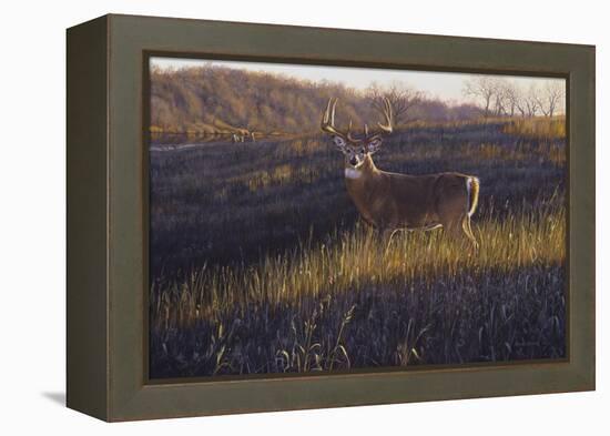 Zone 4-Bruce Miller-Framed Premier Image Canvas