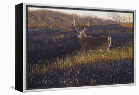 Zone 4-Bruce Miller-Framed Premier Image Canvas