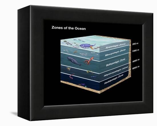 Zones of the Ocean-Spencer Sutton-Framed Premier Image Canvas