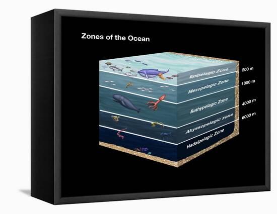 Zones of the Ocean-Spencer Sutton-Framed Premier Image Canvas