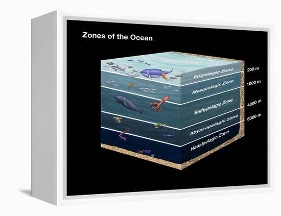 Zones of the Ocean-Spencer Sutton-Framed Premier Image Canvas