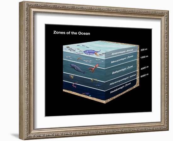 Zones of the Ocean-Spencer Sutton-Framed Giclee Print