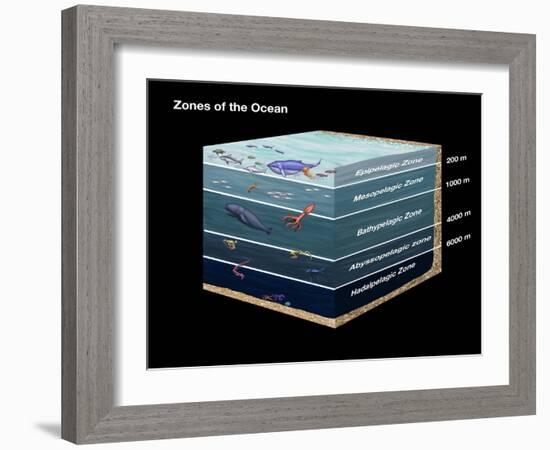 Zones of the Ocean-Spencer Sutton-Framed Giclee Print