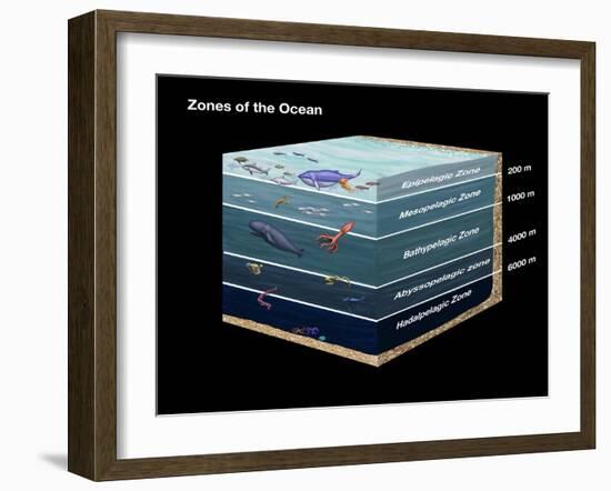 Zones of the Ocean-Spencer Sutton-Framed Giclee Print