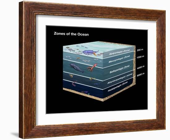 Zones of the Ocean-Spencer Sutton-Framed Giclee Print