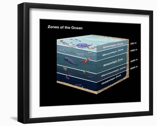 Zones of the Ocean-Spencer Sutton-Framed Giclee Print