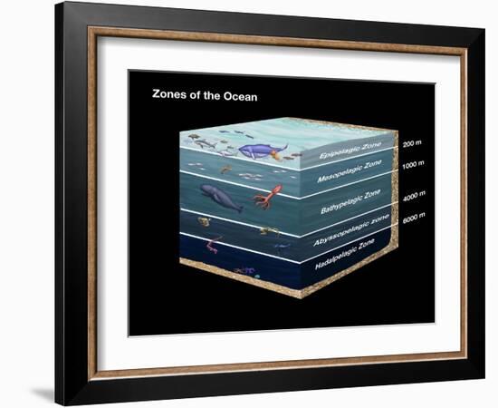 Zones of the Ocean-Spencer Sutton-Framed Giclee Print