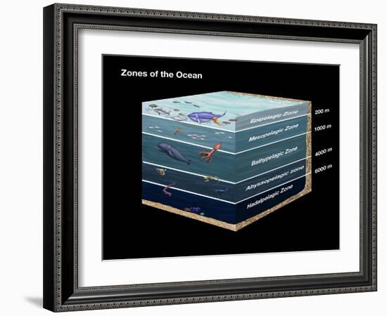 Zones of the Ocean-Spencer Sutton-Framed Giclee Print