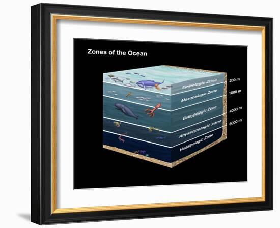 Zones of the Ocean-Spencer Sutton-Framed Giclee Print