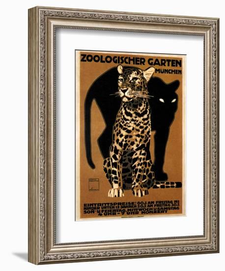 zoo big cats-null-Framed Giclee Print