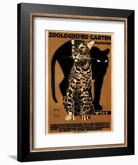 zoo big cats-null-Framed Giclee Print