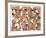 Zoo Composition-Caroline Schultz-Framed Collectable Print