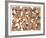 Zoo Composition-Caroline Schultz-Framed Collectable Print