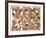 Zoo Composition-Caroline Schultz-Framed Collectable Print