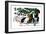 Zoo Nights-null-Framed Art Print