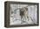 Zoo Wolf 03-Gordon Semmens-Framed Premier Image Canvas