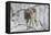 Zoo Wolf 03-Gordon Semmens-Framed Premier Image Canvas