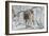 Zoo Wolf 03-Gordon Semmens-Framed Photographic Print