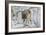 Zoo Wolf 03-Gordon Semmens-Framed Photographic Print