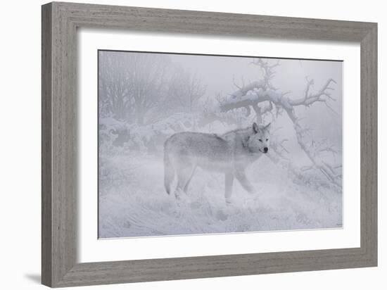 Zoo Wolf 04-Gordon Semmens-Framed Photographic Print