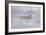 Zoo Wolf 04-Gordon Semmens-Framed Photographic Print