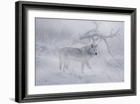 Zoo Wolf 04-Gordon Semmens-Framed Photographic Print