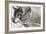 Zoo Wolf 05-Gordon Semmens-Framed Photographic Print