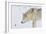 Zoo Wolf 06-Gordon Semmens-Framed Photographic Print