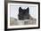 Zoo Wolf 08-Gordon Semmens-Framed Photographic Print