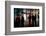 Zoo-Ursula Abresch-Framed Photographic Print