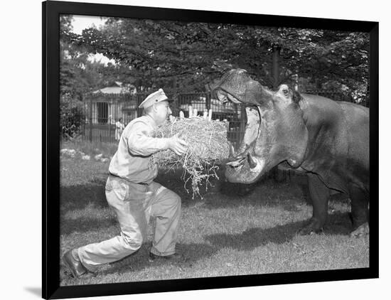 Photographic Print, , large