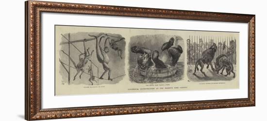 Zoological Eccentricities at the Regent's Park Gardens-null-Framed Giclee Print