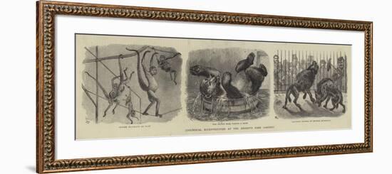 Zoological Eccentricities at the Regent's Park Gardens-null-Framed Giclee Print