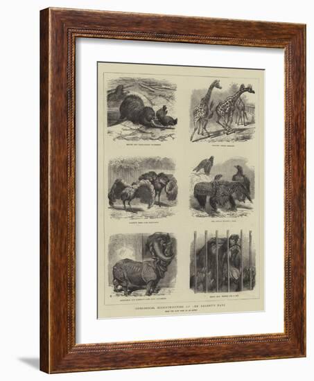 Zoological Eccentricities at the Regent's Park-null-Framed Giclee Print