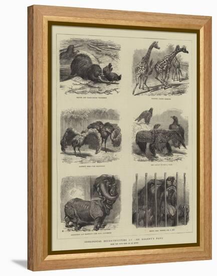Zoological Eccentricities at the Regent's Park-null-Framed Premier Image Canvas