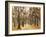 Zoological Gardens in Autumn with Figures Walking; Tiergarten Im Herbst Mit Spaziergangern-Max Liebermann-Framed Giclee Print